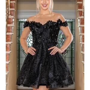 Dancing Queen Women’s Fit & Flare Appliqué Shimmer Prom Dress Black Size XS